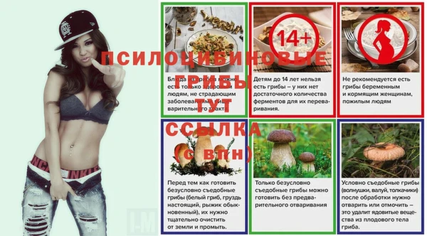 ГАЛЛЮЦИНОГЕННЫЕ ГРИБЫ Алексин