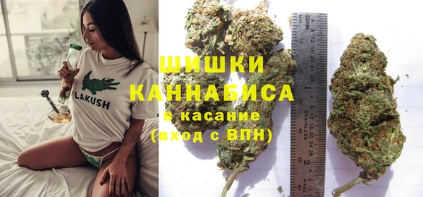 ГАЛЛЮЦИНОГЕННЫЕ ГРИБЫ Алексин