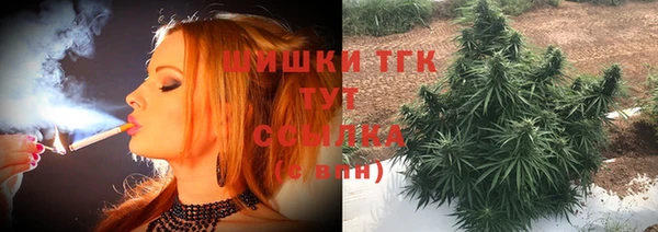 твердый Алексеевка