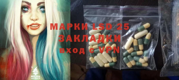 ГАЛЛЮЦИНОГЕННЫЕ ГРИБЫ Алексин