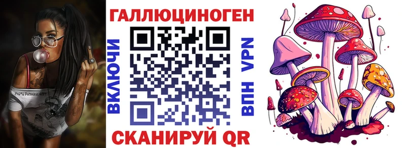 Галлюциногенные грибы Cubensis  Медынь 